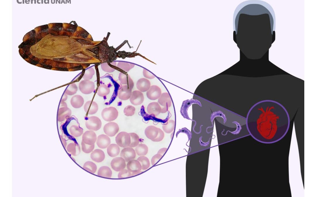 CHAGAS